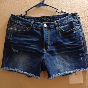 Dear John Women's Blue Denim Shorts